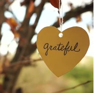 Grateful-Lynn Hasselberger