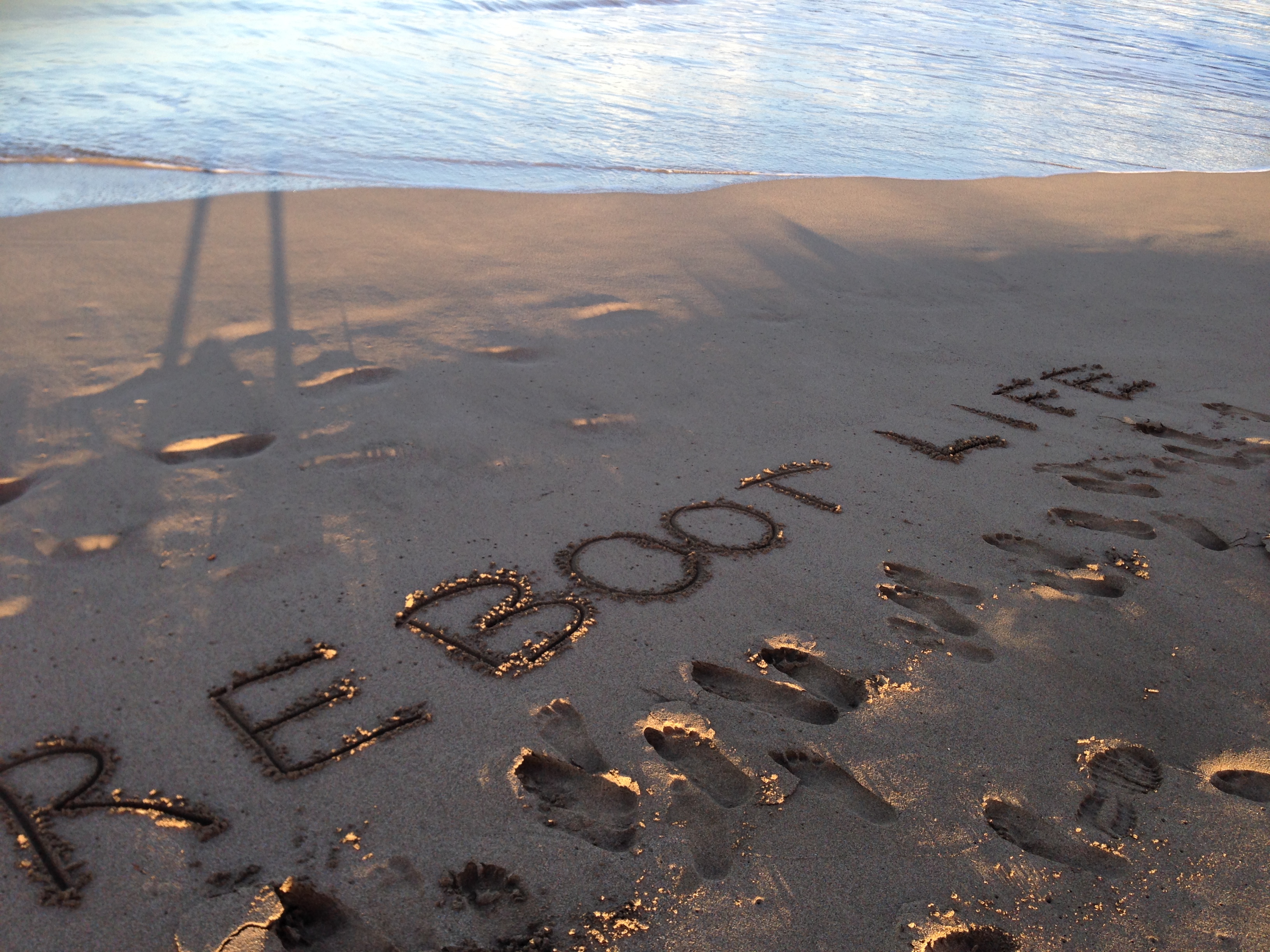 reboot-life-rouge-style-maven