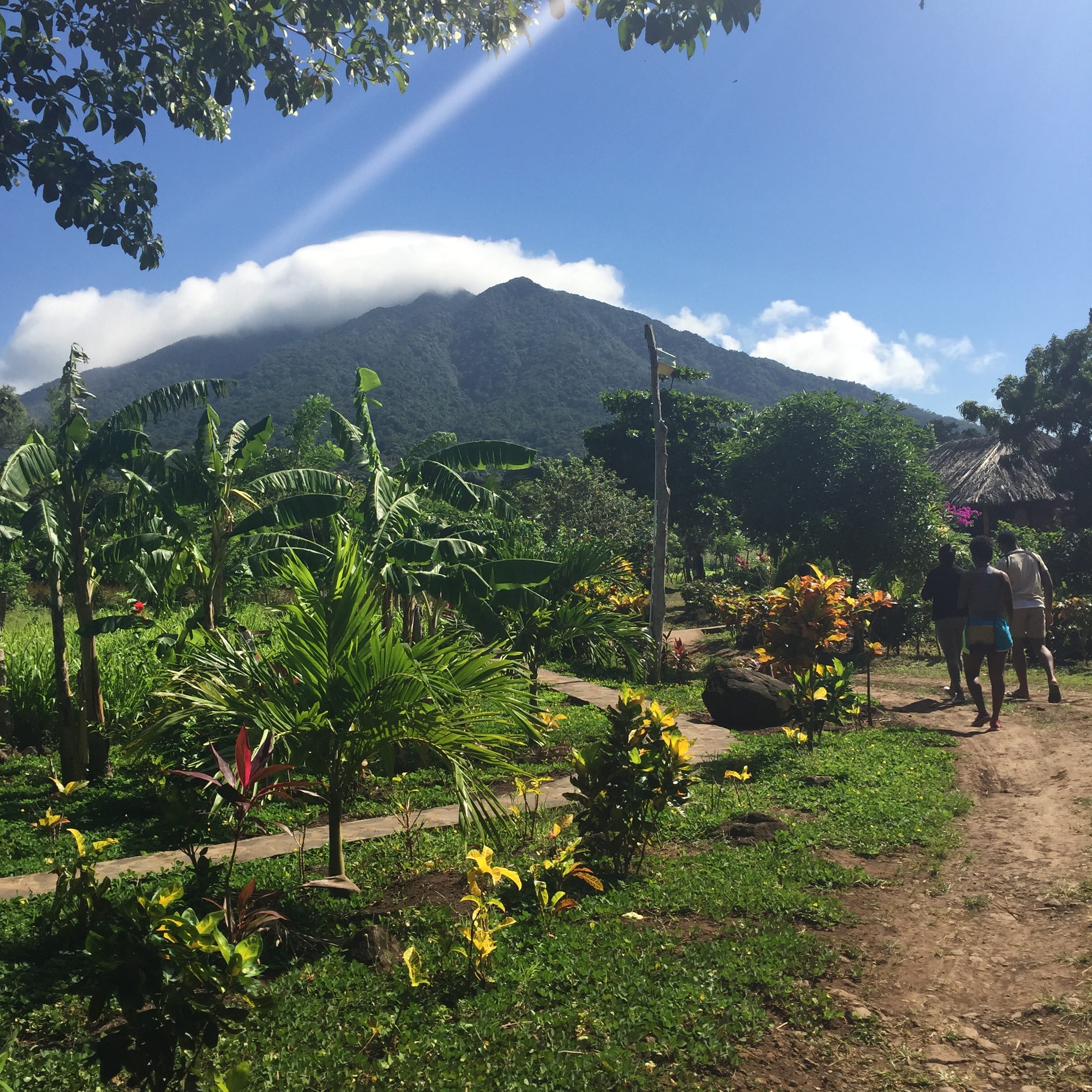 Ometepe Island Jungle Nicaragua