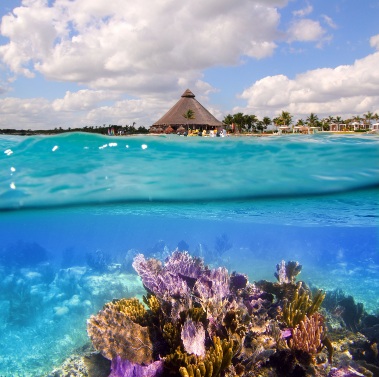 coral reef Mexico Travel